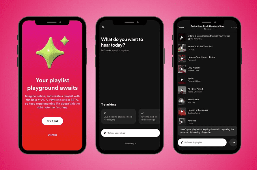 Những Lưu Ý Khi Chuyển Playlist Spotify