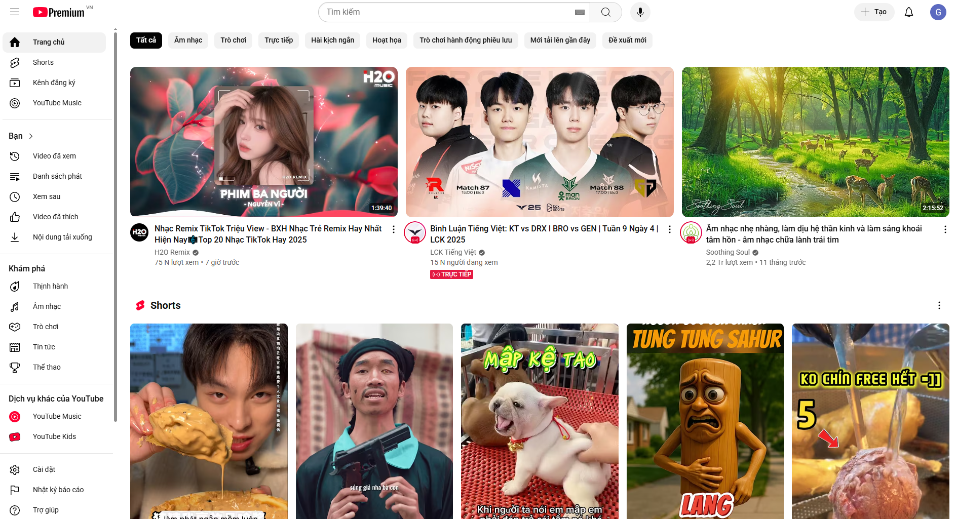 YouTube Premium Logo